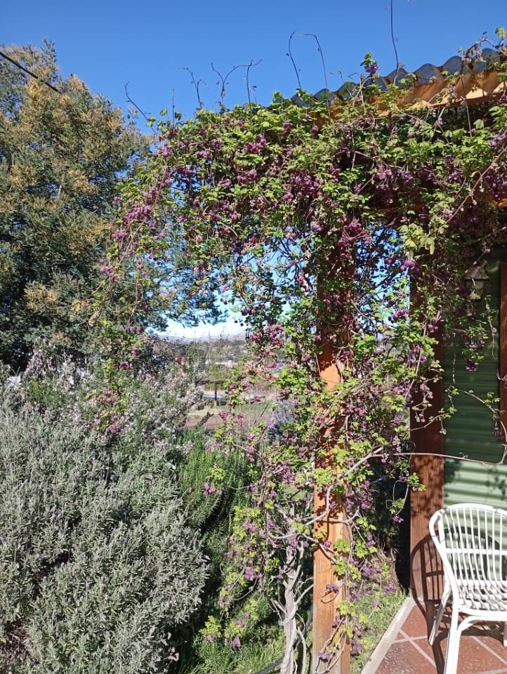 cardones - complejo de cabañas Cerro Ceferino sierra de la ventana
