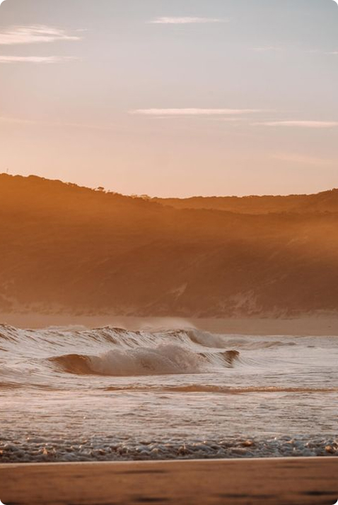 cardones - complejo de cabañas Cerro Ceferino sierra de la ventana